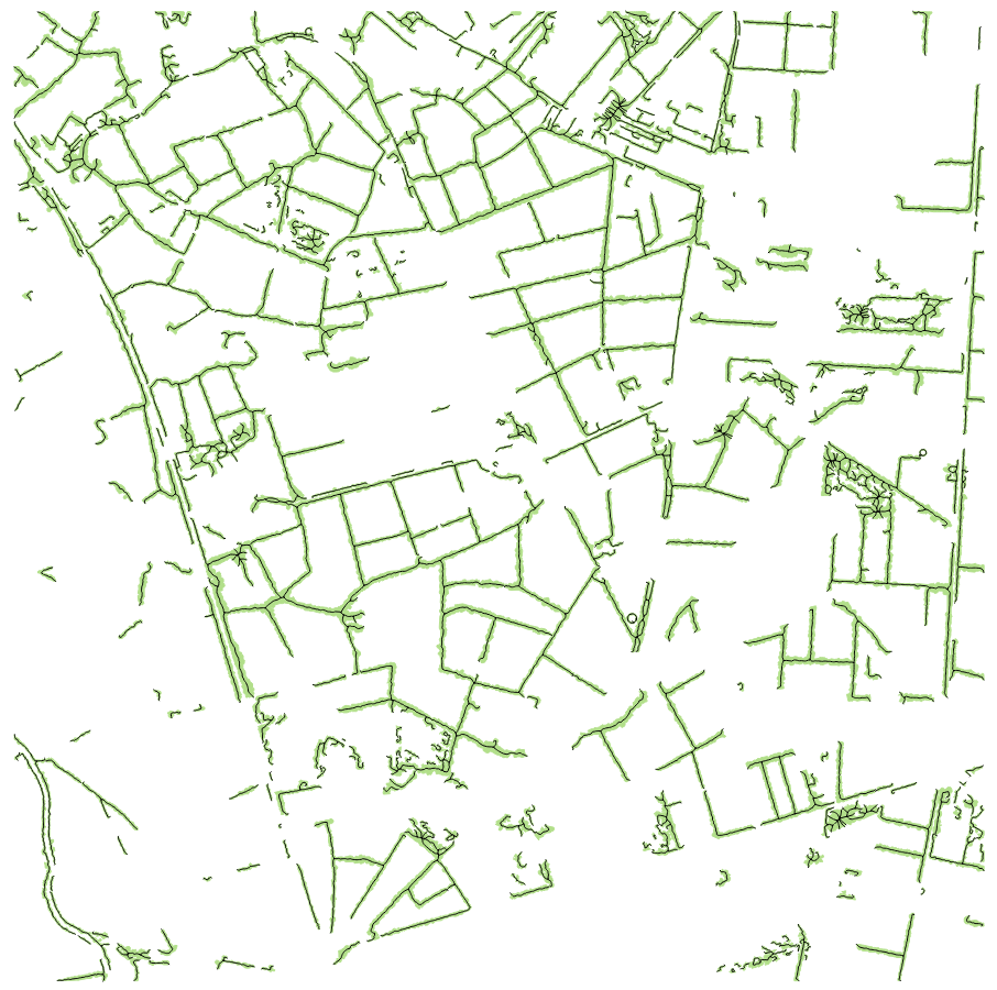 Résultat obtenu après la construction des arcs topologiques (illustration de la couche des arcs en plus des polygones).
