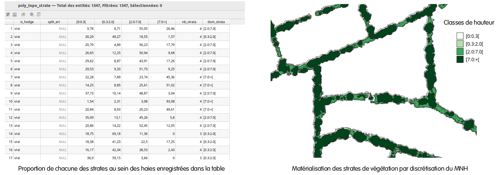 Table attributaire enrichie des strates de végétation et polygones de haies représentés avec leurs strates de hauteur.