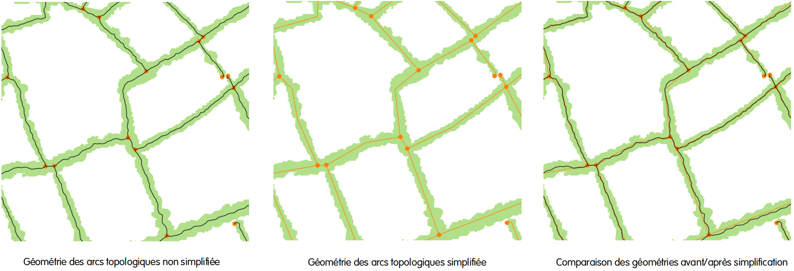 Simplification de la géométrie des arcs topologiques.