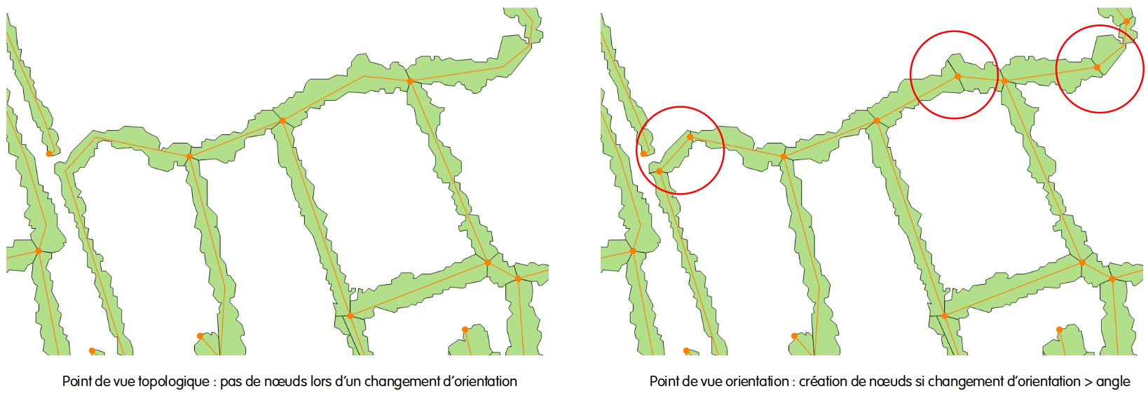 Résultat obtenu après le redécoupage des haies selon un intervalle de distance de 25 m.