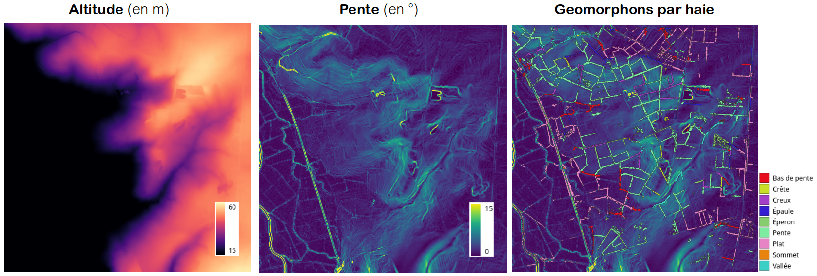 Relief, pente et Geomorphons obtenus pour les haies du site d'étude.
